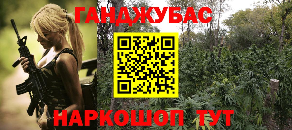 Канабис OG Kush Губкинский